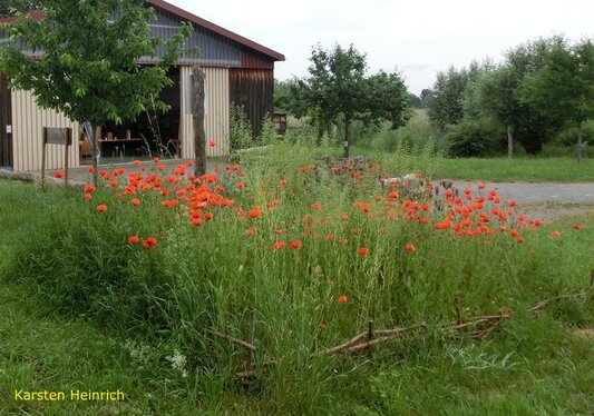 Naturschutzscheune Reinheimer Teich