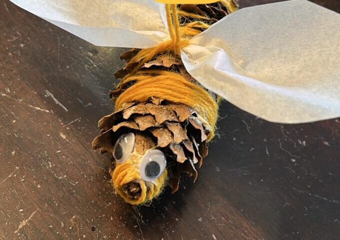 Bienenworkshop